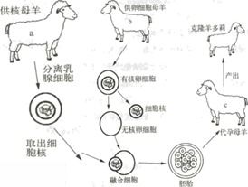 現(xiàn)代生物技術(shù) 初中生物測試題與答案解析