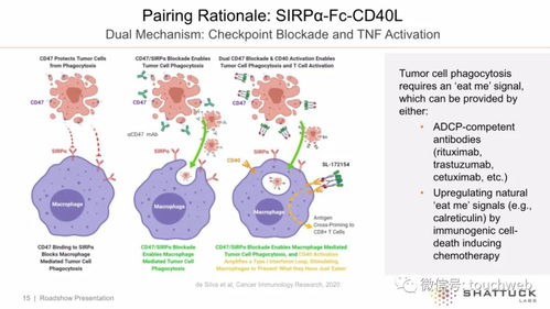生物技術(shù)公司Shattuck上市首日大漲14%，市值突破7億美元